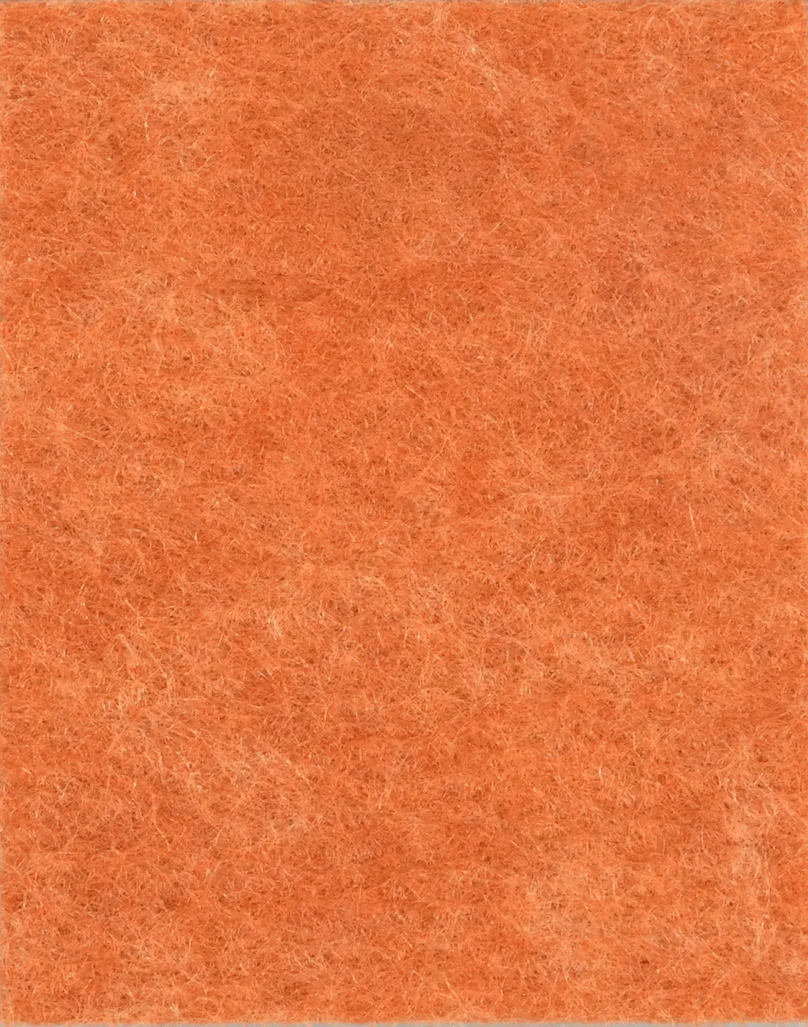 Цвят R19